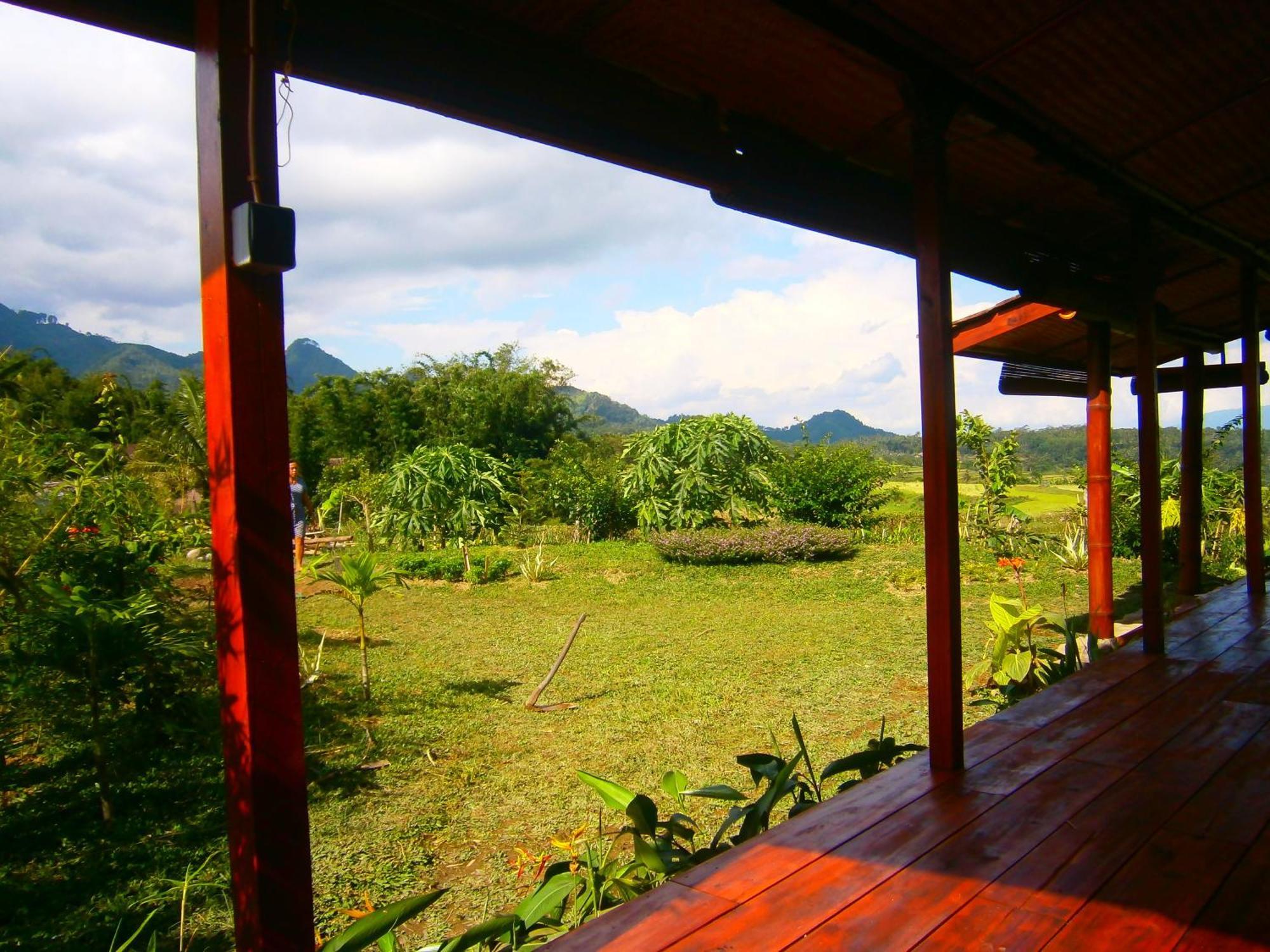 Villa Sumbing Indah 마겔랑 객실 사진