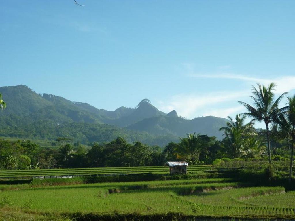 Villa Sumbing Indah 마겔랑 외부 사진