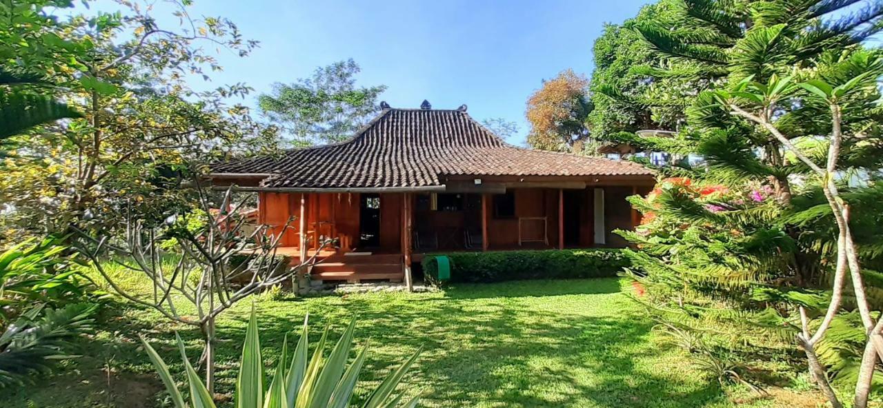 Villa Sumbing Indah 마겔랑 외부 사진